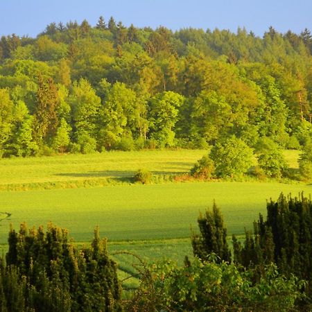 Villa Bellevue Waldkappel Zewnętrze zdjęcie