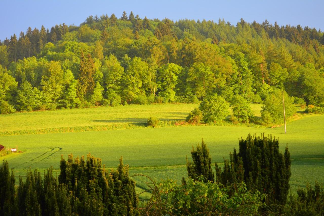 Villa Bellevue Waldkappel Zewnętrze zdjęcie